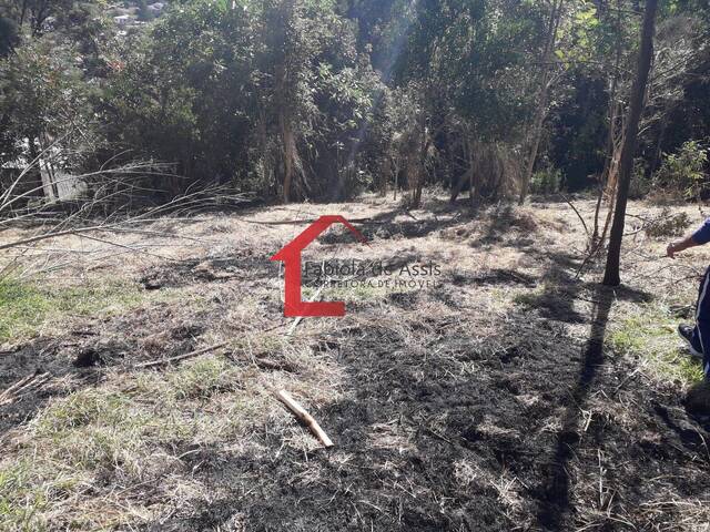 #19 - Área para Venda em Colombo - PR