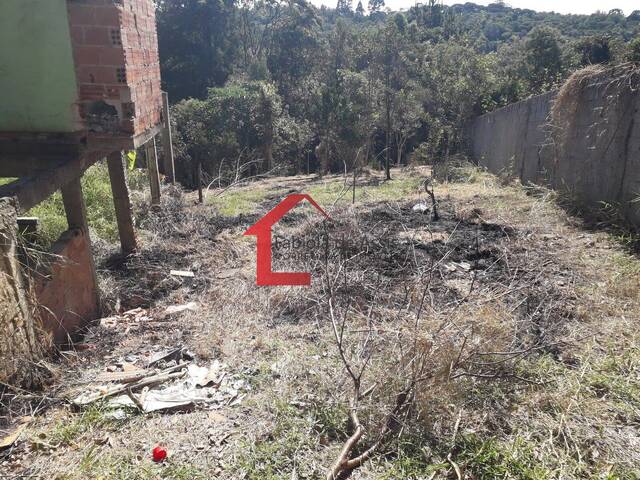 #19 - Área para Venda em Colombo - PR