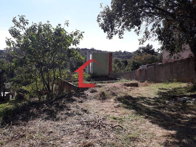 Área para Venda em Colombo - 4