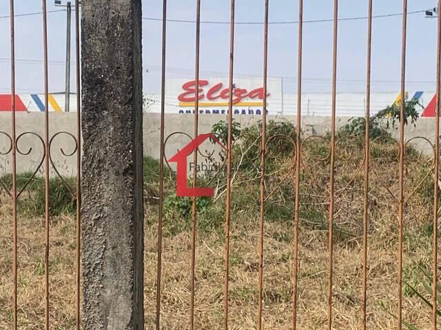 #59 - Área para Venda em Colombo - PR