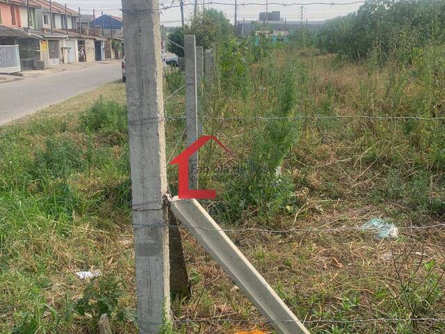 Área para Venda em Colombo - 5
