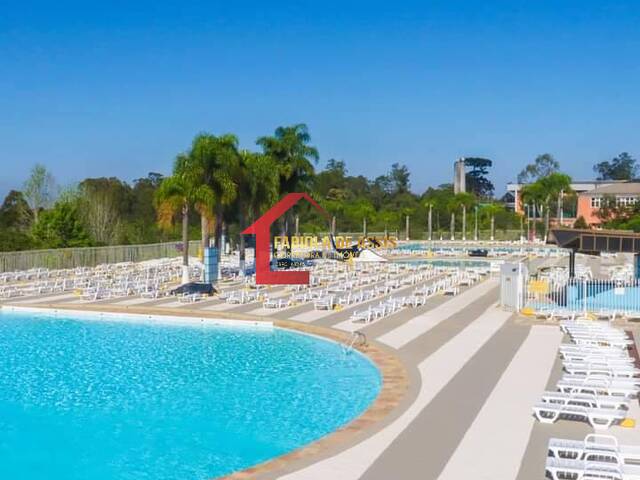 Área para Venda em Colombo - 5