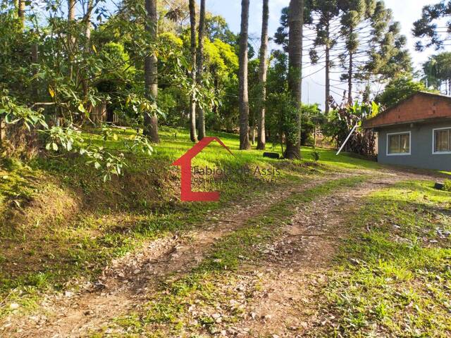 #65 - Chácara para Venda em Campina Grande do Sul - PR