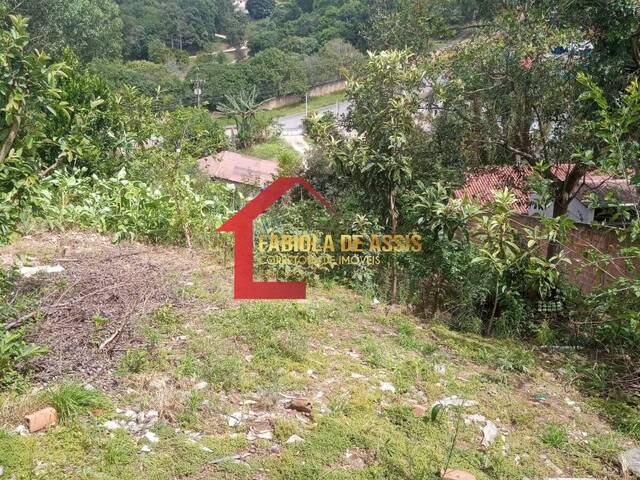 Área para Venda em Colombo - 5