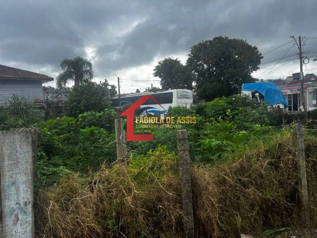 Área para Venda em Pinhais - 4