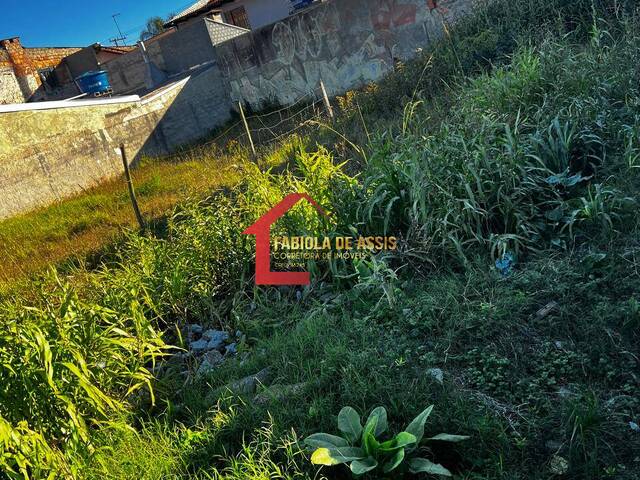 Área para Venda em Colombo - 3
