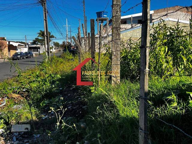 Área para Venda em Colombo - 4